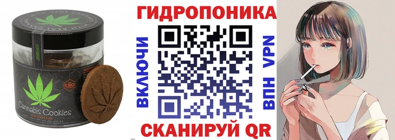 Canna-Cookies марихуана  Карабаново 