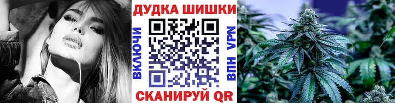 Конопля сатива  Карабаново 